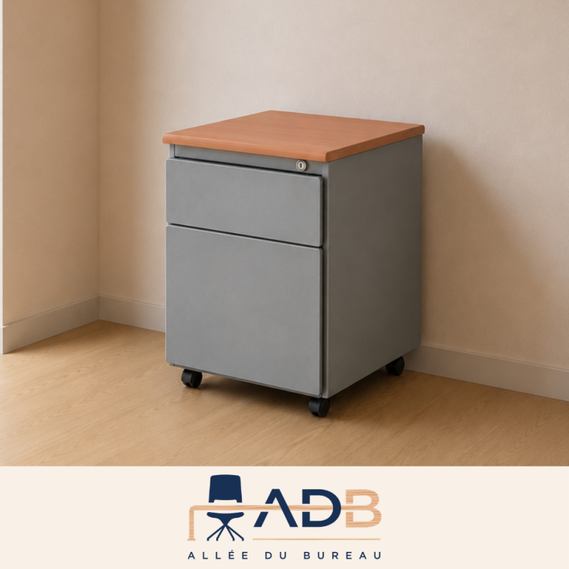 CAISSON MOBILE 2 TIROIRS - STEELCASE