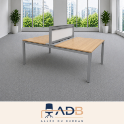 BENCH 2 POSTES