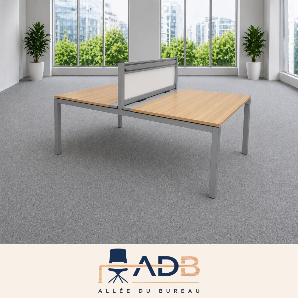 BENCH 2 POSTES