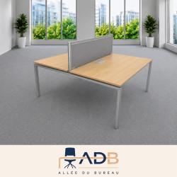 BENCH 2 POSTES