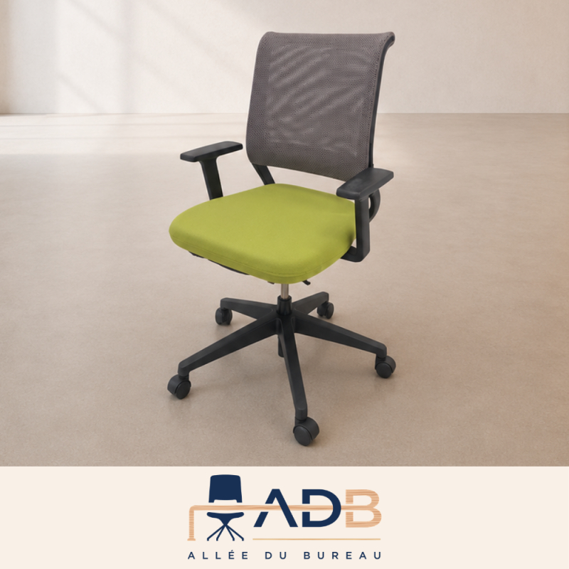 FAUTEUIL ERGONOMIQUE - SEDUS