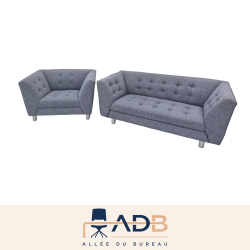 CANAPÉ ET/OU FAUTEUIL D'ACCUEIL