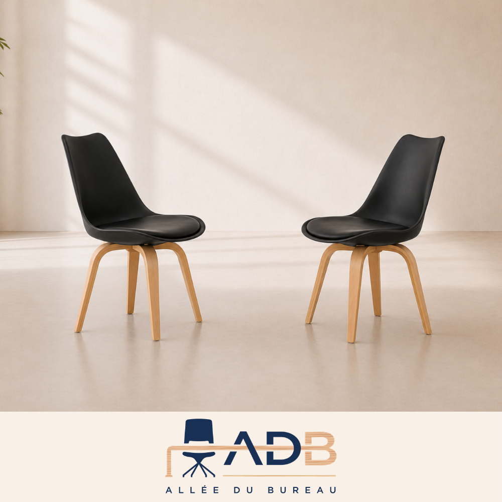 PAIRE DE CHAISES D'ACCUEIL