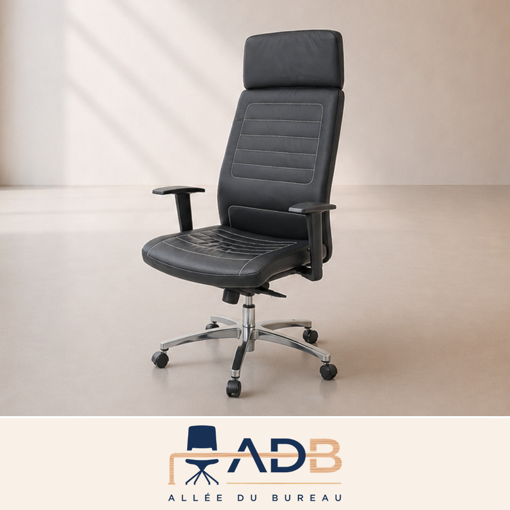 FAUTEUIL DE DIRECTION - FORSIT