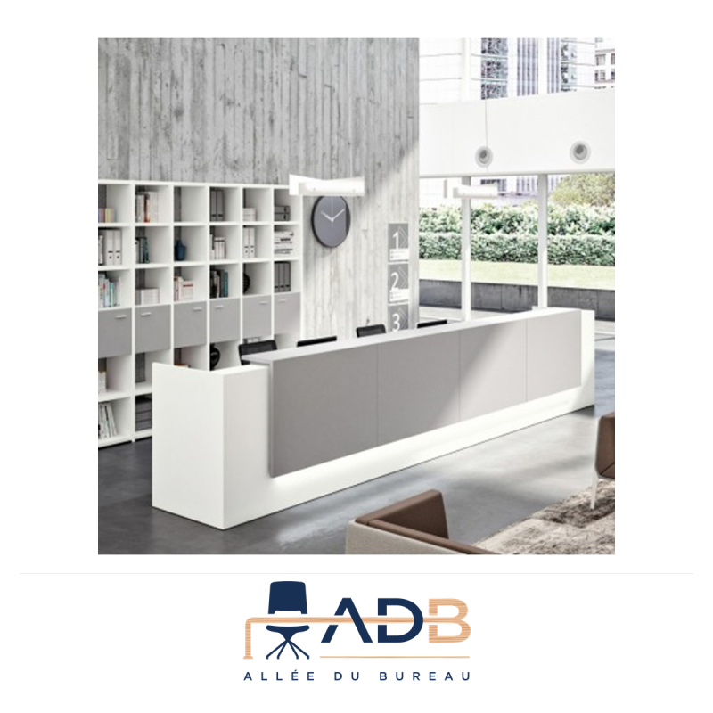 BANQUE D'ACCUEIL Z2