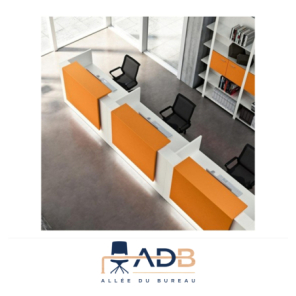 BANQUE D'ACCUEIL Z2
