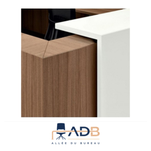 BANQUE D'ACCUEIL Z2