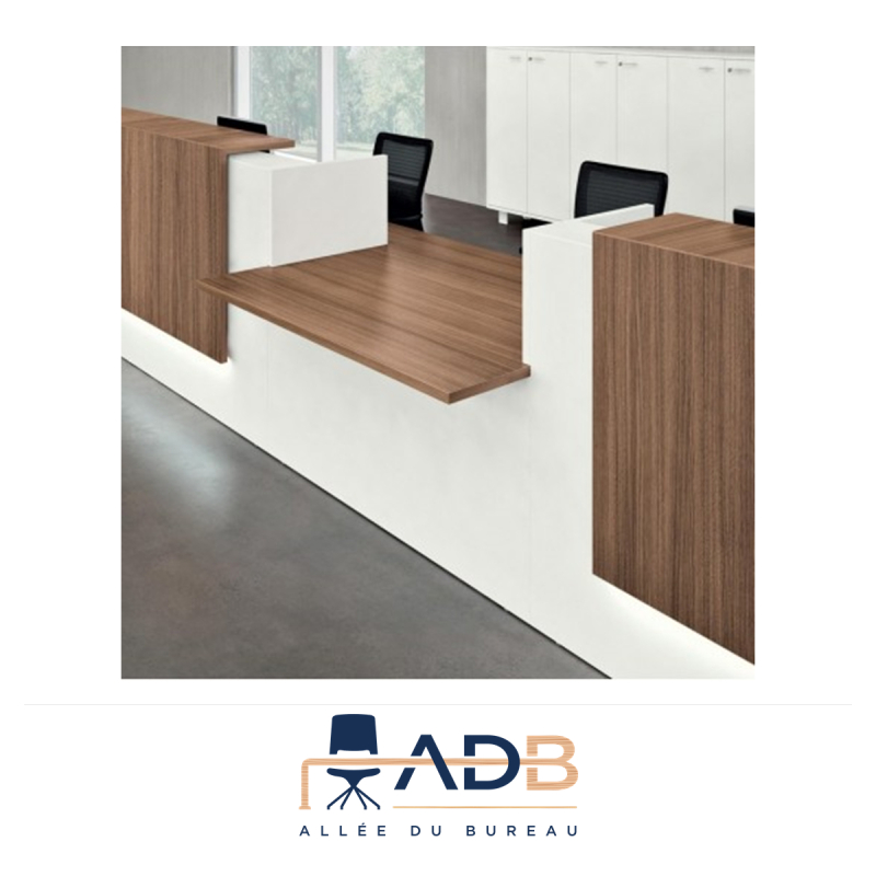 BANQUE D'ACCUEIL Z2