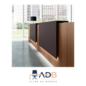 BANQUE D'ACCUEIL Z2