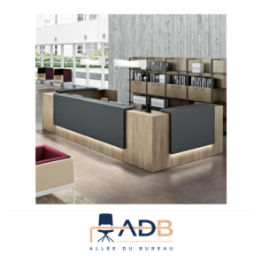 BANQUE D'ACCUEIL Z2