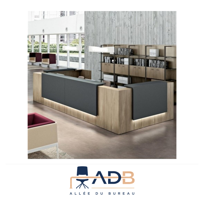 BANQUE D'ACCUEIL Z2