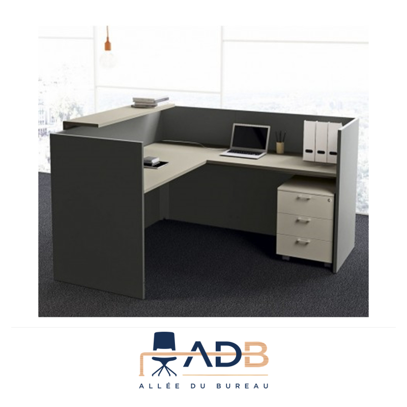 BANQUE D'ACCUEIL POINT