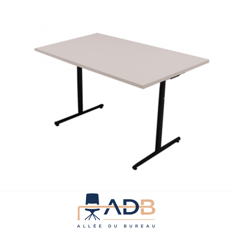 TABLE PLIANTE