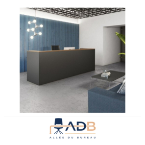COMPTOIR D'ACCUEIL "DELTA BASIC"
