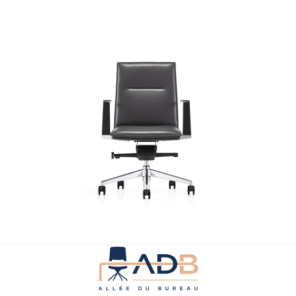 FAUTEUIL DE DIRECTION - AURE DOS BAS