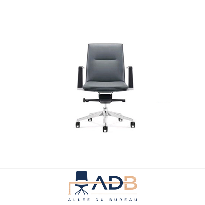 FAUTEUIL DE DIRECTION - AURE DOS BAS