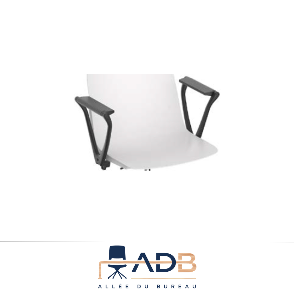 ACCOUDOIRS POUR DAILY ROLLER