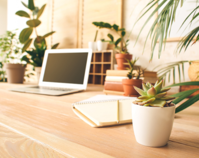 POURQUOI METTRE DES PLANTES DANS UN BUREAU ?